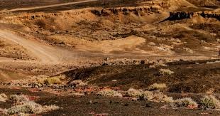 神户后卫：我没有被费利佩完全压制；我们在主场本应该争胜的